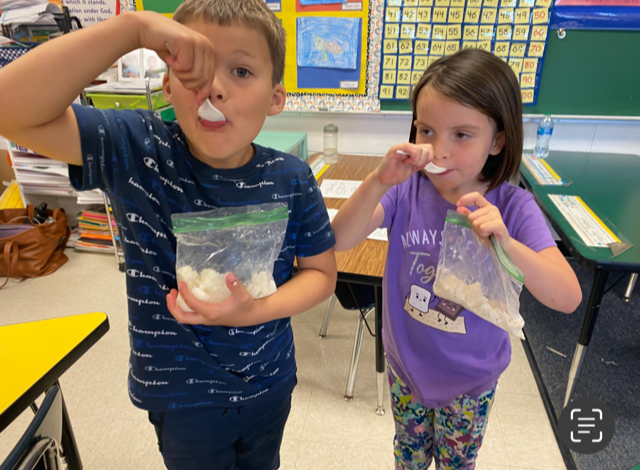 Kindergarten Makes Ice Cream