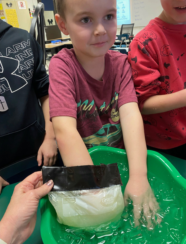 Blubber Glove Evans Elementary School